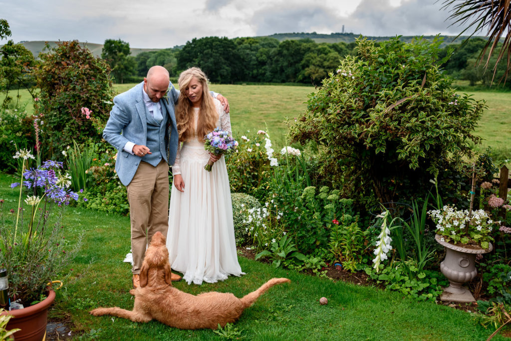 bride and groom with dog in a field